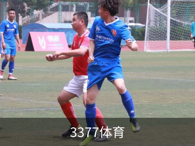 3377体育简介